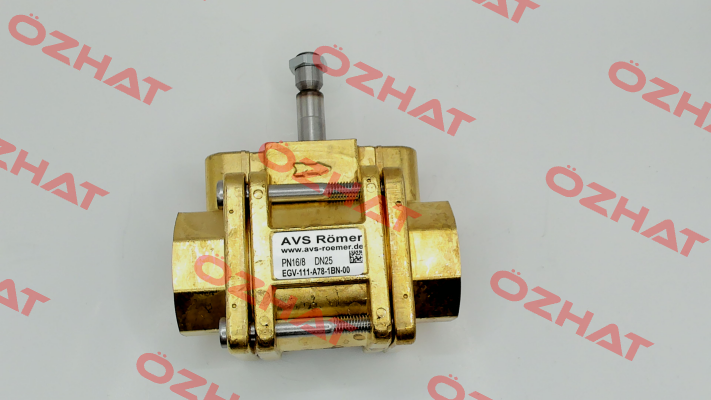 613551 Avs Römer