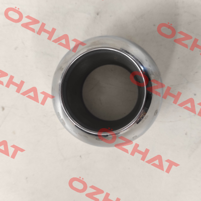 00204972 H Mha Zentgraf