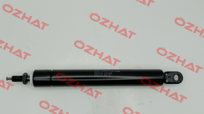 299030 Stabilus