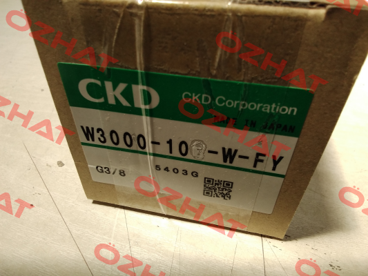 W3000-10-W-fy Ckd