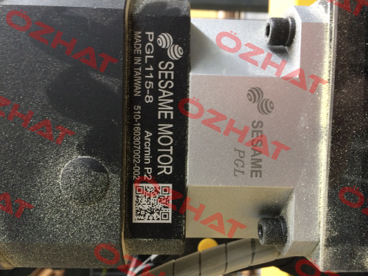 PGL142-12-P2  Sesame Motor