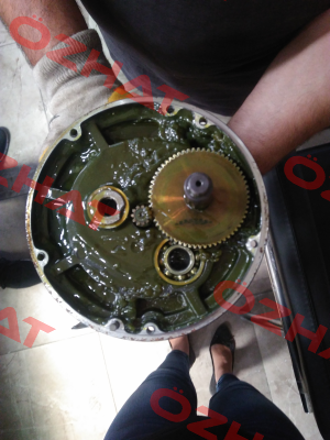 RNS 3H02S165-Y Sesame Motor