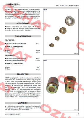 4PSLT  ESA Pyronics International