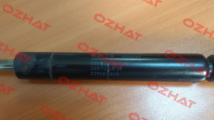 0254QH 0810N Stabilus