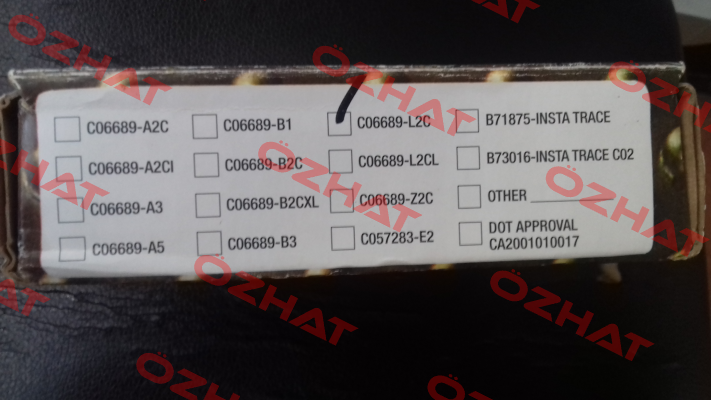C06689-L2C Teledyne