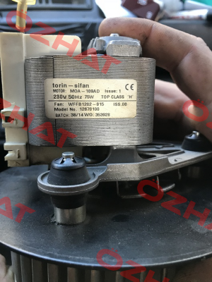 WFFB1202-015 - Part of: DSF133-42  Torin-Sifan
