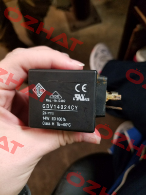 RGDV14024CY / 80900176 Ode