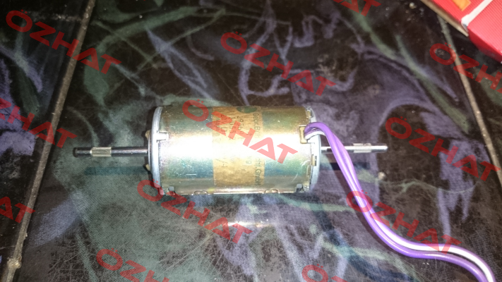1.13.055.213A  Bühler Motor
