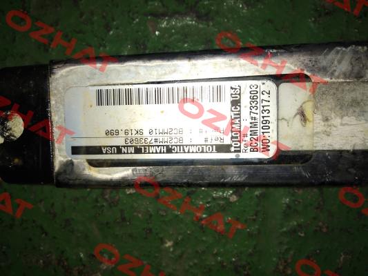BC2MM10 SK19.690  Tolomatic