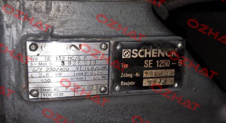 SE 1250-6 Obsolete! Replaced by Typ F 1300-6-7.0  Schenck