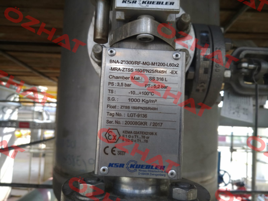 BNA-2"/300/RF-MG-M1.200-L60x2-MRAZTSS150/PN25/R48H-Ex  Ksr Kuebler