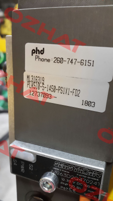 ML316319 Phd