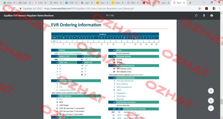 EVR- GSD6SNGX-NSX30T60FXVV Equilibar