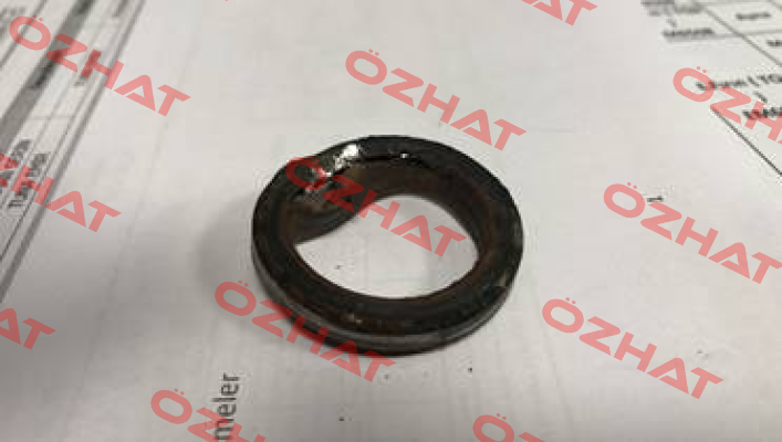 Throat dust seal for 1545469 Römheld