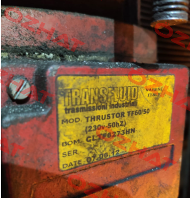 CLTF6273HN Transfluid