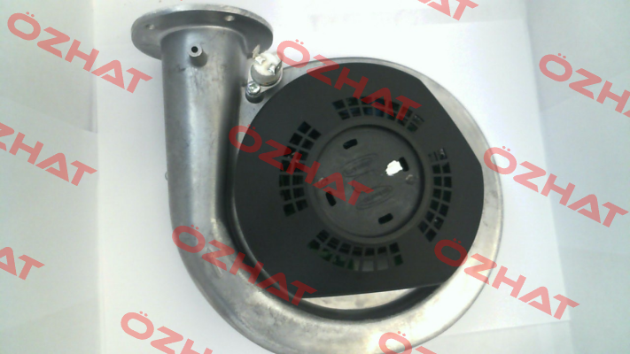 A1050014 Torin-Sifan