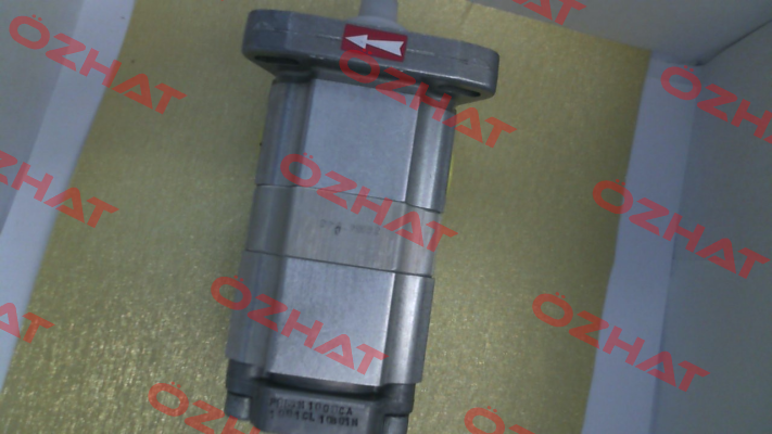 P1CBN1001CA1001CL10B01N HPI