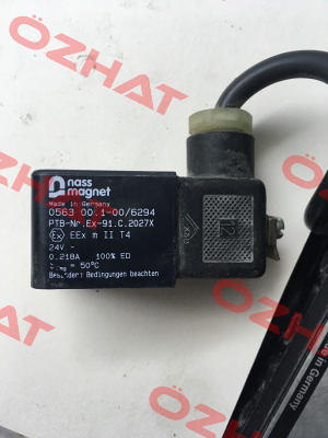 056300.1-00/6294 Nass Magnet