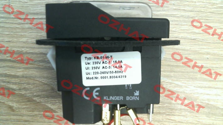 0001.8004 Klinger Born