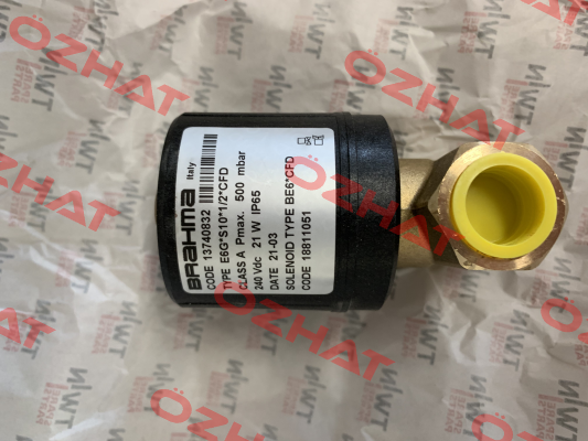 13740832 Brahma