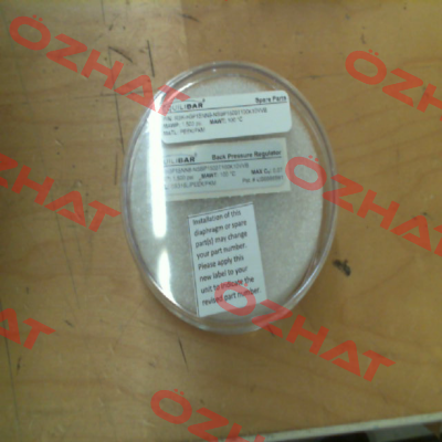RBK-H3P1SNN8-NSBP1500T100K10VVB Equilibar