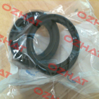 172218TC TCM