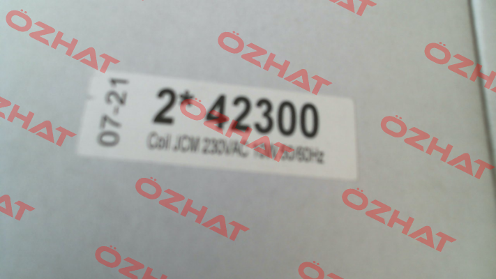 42300 JORC