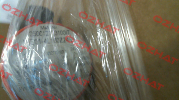WE01-4L100Z24/0H Voith