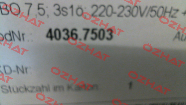 40367503 Klinger Born