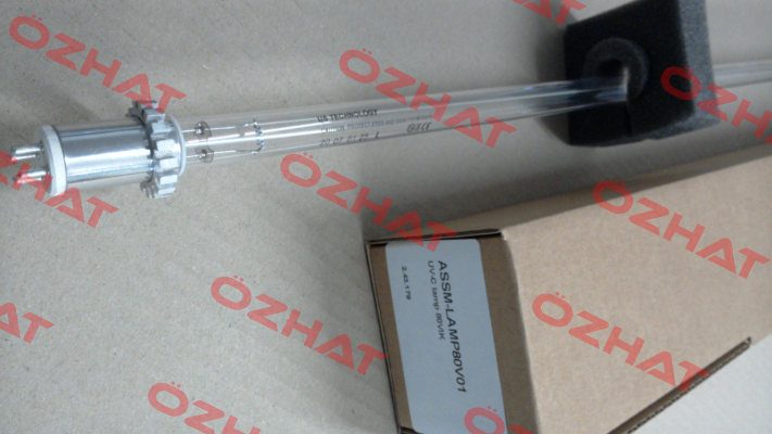 ASSM-LAMP80V01 Berson