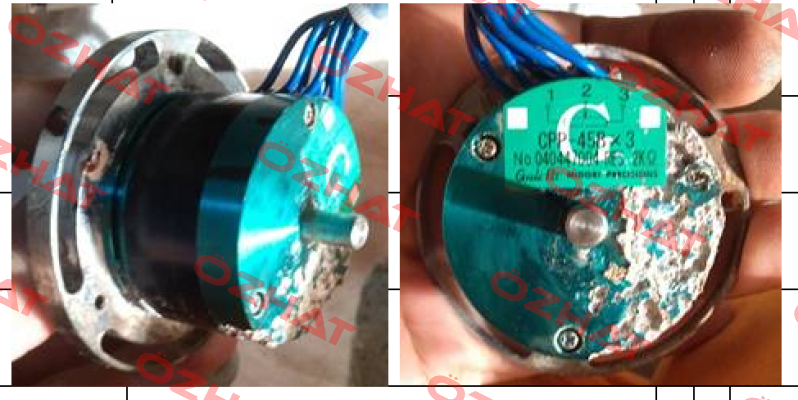 CPP-45Bx3-2Kx3 Midori