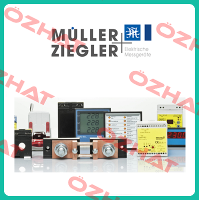 Type DSM 9624 N (230VAC) Müller Ziegler