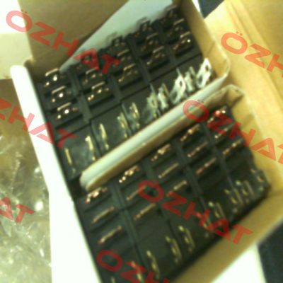 RJ1S-CL-D24 Idec