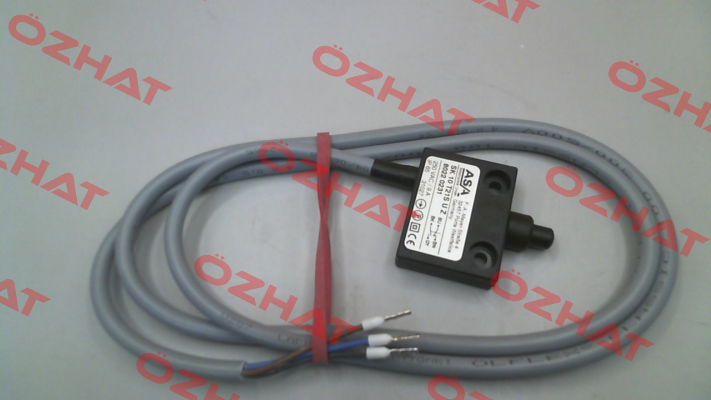 P/N:8022 0231 Type:SK 10 T21S U Z ASA Schalttechnik