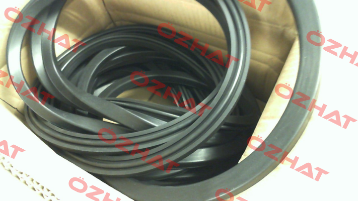 RD Gasket D471 NBR RD560 Rahmer+Jansen