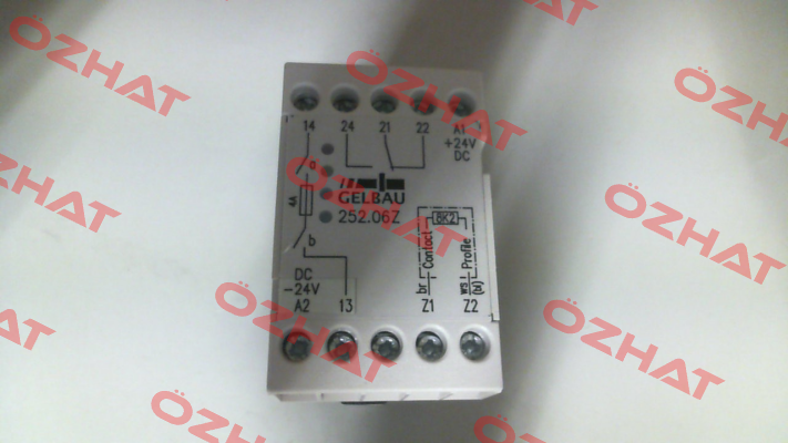 P/N: 3002.5206Z Type: 252.06Z Gelbau
