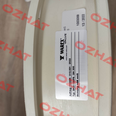 WX6000 for DKZ110APS DN 300 Warex