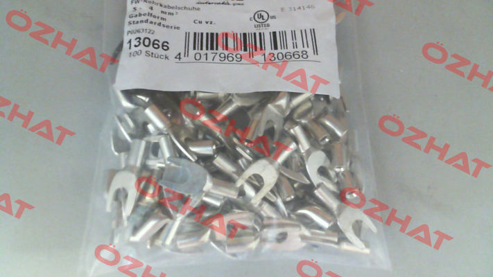13066 WEITKOWITZ