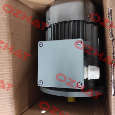 FCPA 80 B-4 /PHE AC Motoren