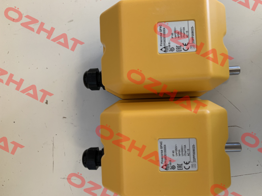 PF090301000004 GF4C Ter Tecno Elettrica Ravasi