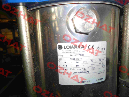 Cylinder for SV-607F75T, Cod:1C2541371  Lowara