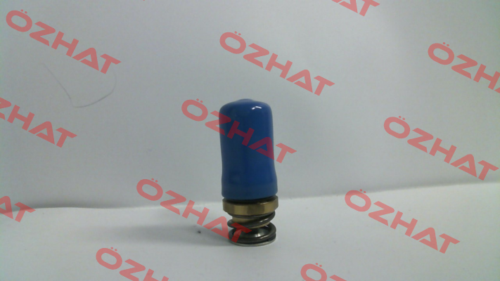 A 5071492 HPI