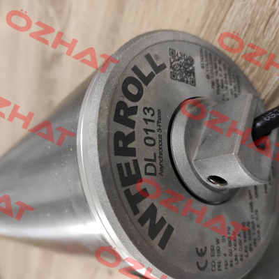 MI-DL0113 DL1133-TAA0AA0H1CSB-1012mm Interroll