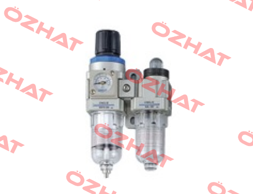NFLD200-02-TA-BG-A Chelic