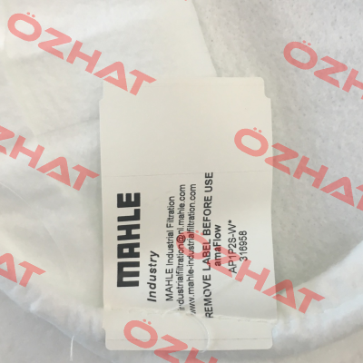 PPSG-001-WS-SS2 (0001) MAHLE
