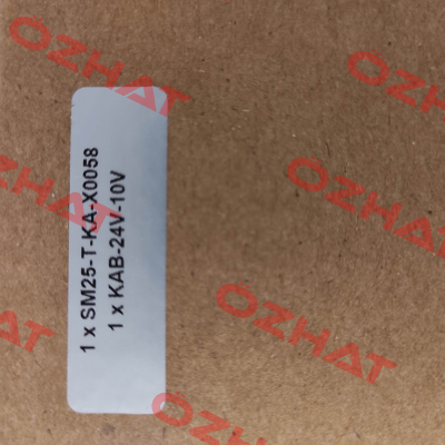 SM25-T-KA-X0058 EDDYLAB