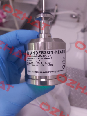 110001979816/001 Anderson-Negele