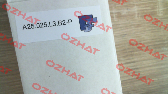 FE A25.025.L3.B2-P Fluidtech
