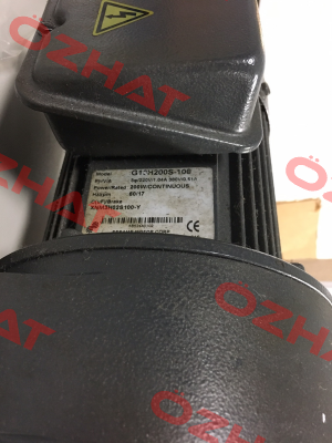 G13H200S-100 Sesame Motor