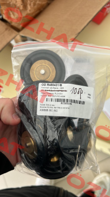 R450431/B Ode